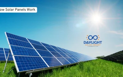 Everything You Need to Know Before Installing Solar Panels